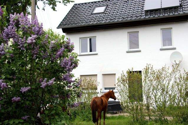 Einfamilienhaus Lumpzig Großbraunshain - 3 Zimmer, 87 m&sup2;, 85.000&euro; | Angebot:25336220