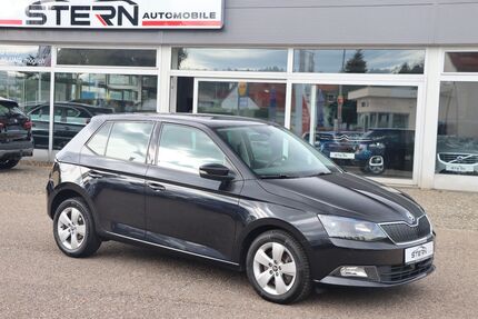 Skoda Fabia 166.500 km 7.990 &euro; Pfullendorf 88630