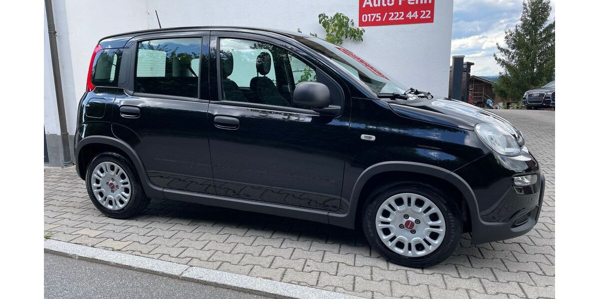 Fiat Panda 19.995 km 11.490 &euro; Passau - Grubweg 94034