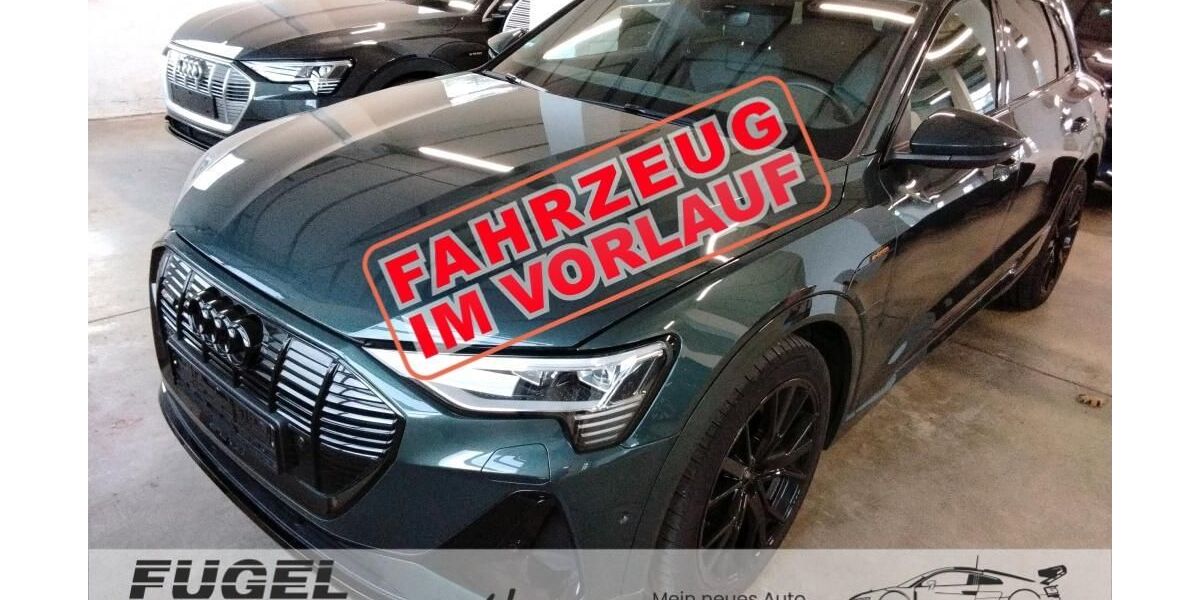 Audi e-tron 55.530 km 35.899 &euro; Chemnitz - Mittelbach 09224
