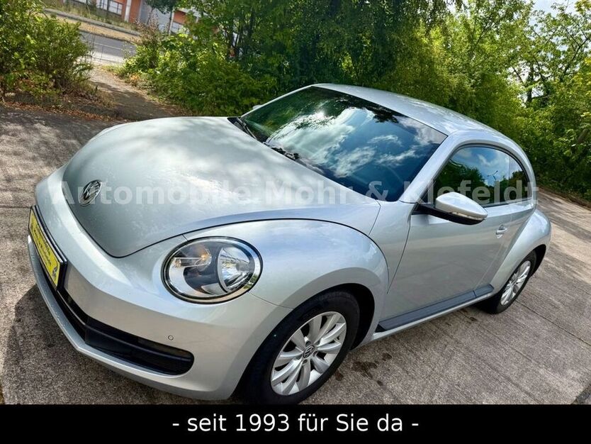 Beetle