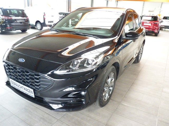 Kuga