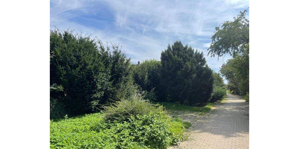 Grundstück Wolfenbüttel Stadtgebiet - 395.000&euro; | Angebot:24425093