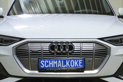 Audi e-tron 32.700 km 35.950 &euro; Braunschweig 38112