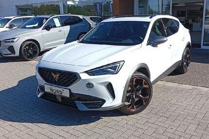 Cupra Formentor 55.209 km 29.950 &euro; Rheine 48432