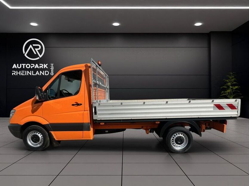 Sprinter