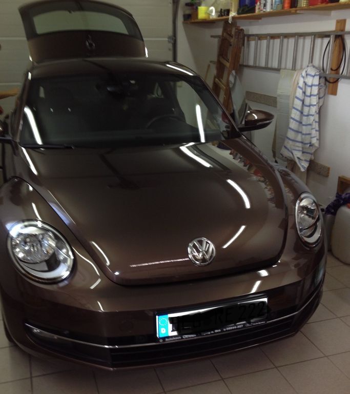 Beetle