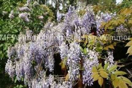 Grundstück Wildau - 300.000&euro; | Angebot:26320637