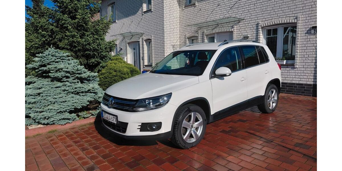 VW Tiguan 260.000 km 7.500 &euro; Holdorf 49451