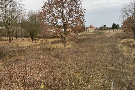 Grundstück Eberswalde - 790.000&euro; | Angebot:20687353