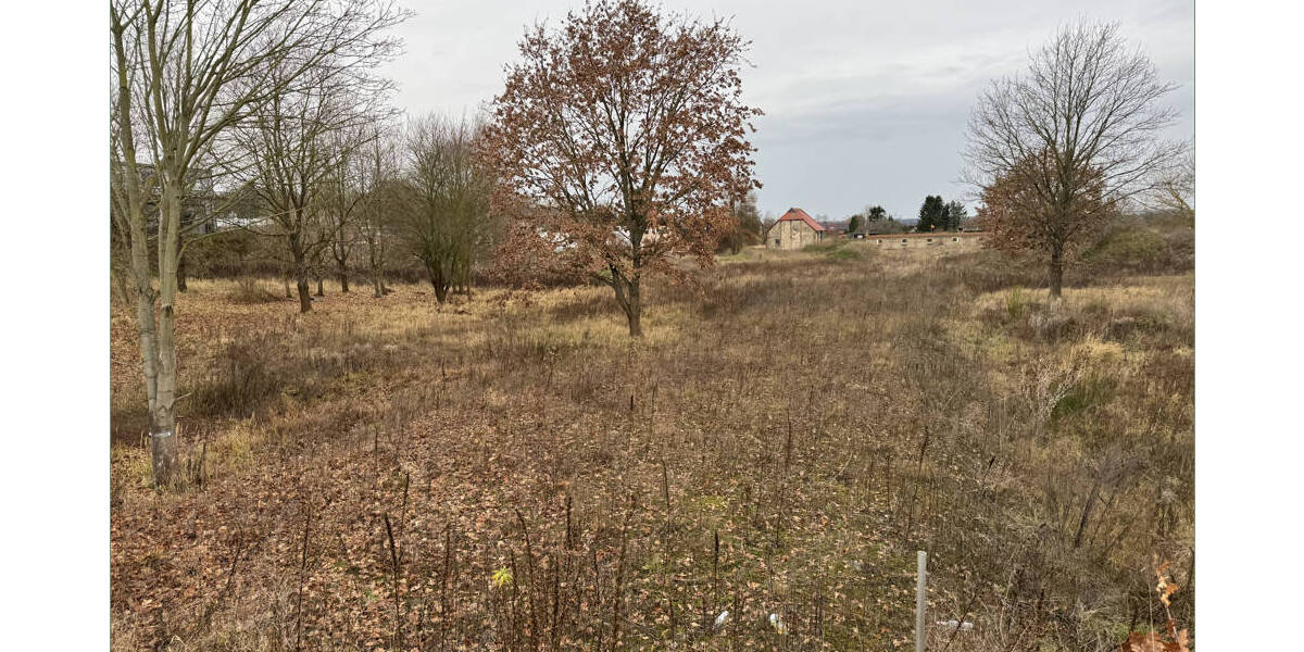 Grundstück Eberswalde - 790.000&euro; | Angebot:20687353