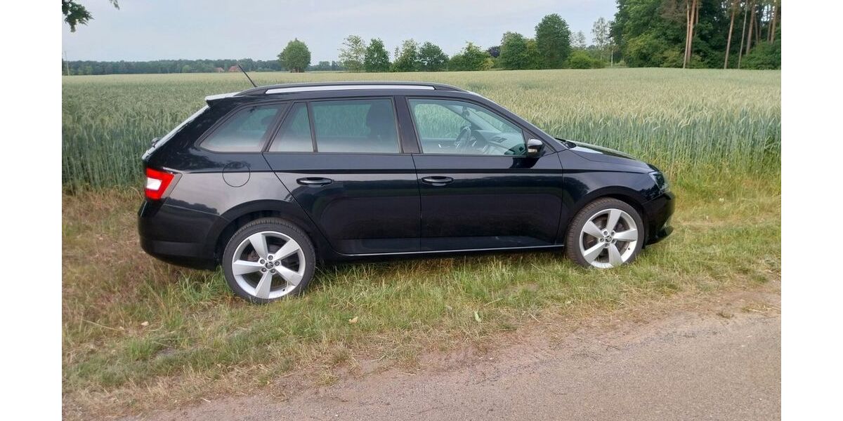 Skoda Fabia 145.034 km 9.100 &euro; Beelen 48361