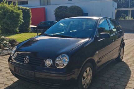 VW Polo 187.245 km 1.290 € Buch 89290