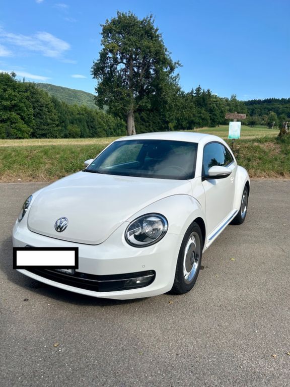 Beetle