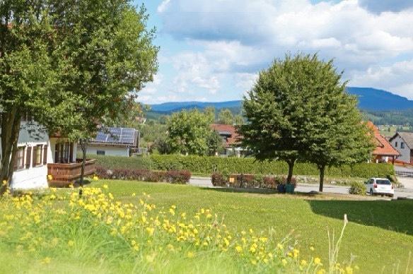 Studio zum Kauf · als Kapitalanlage geeignet 1 zimmer