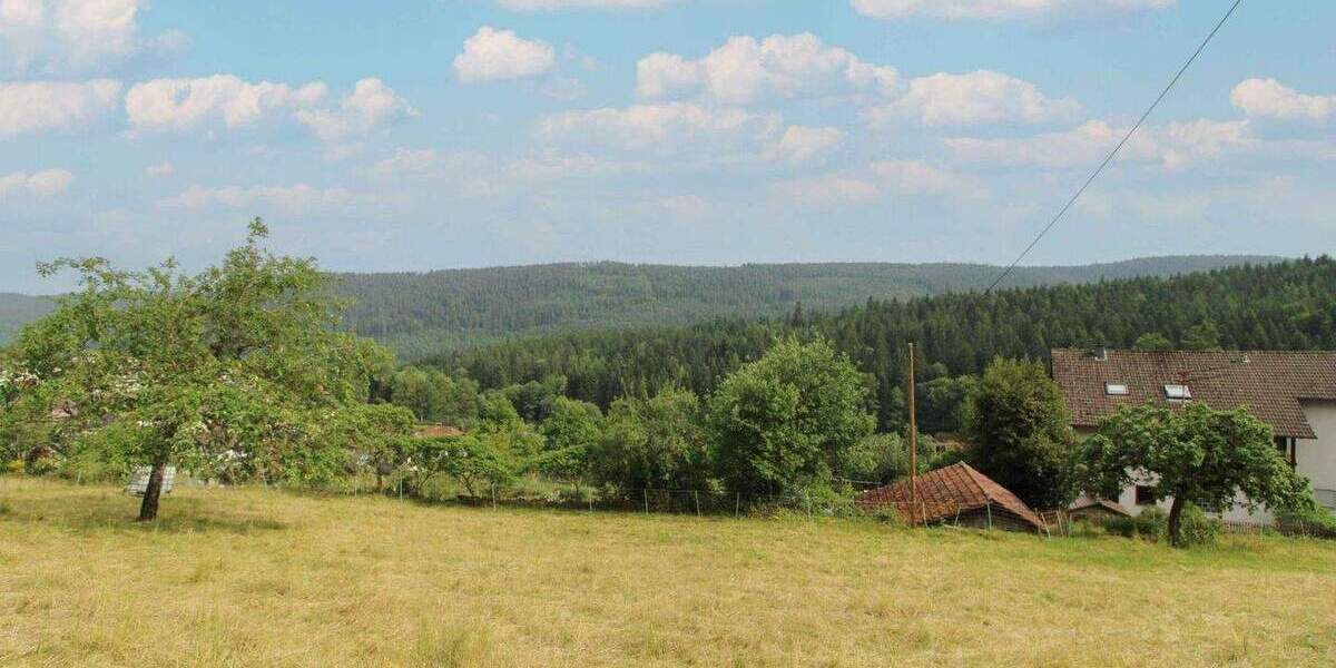 Grundstück Bad Wildbad Sprollenhaus - 124.500&euro; | Angebot:25167852