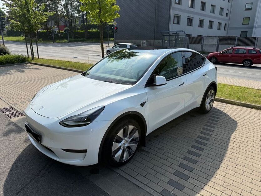 Model Y