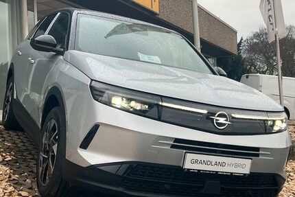 Opel Grandland (X) 2.200 km 34.600 &euro; Bürstadt 68642