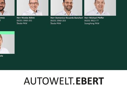 Skoda Enyaq 30.000 km 44.890 &euro; Weinheim 69469