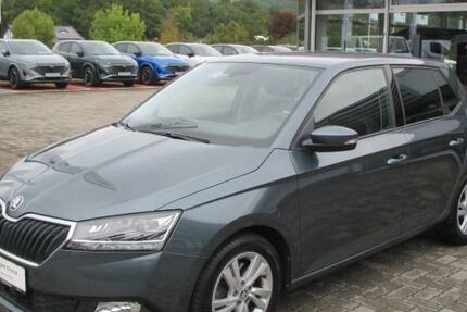 Skoda Fabia 55.900 km 16.245 € Heideck 91180