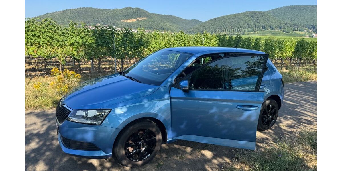 Skoda Fabia 55.500 km 11.900 &euro; Frankweiler 76833