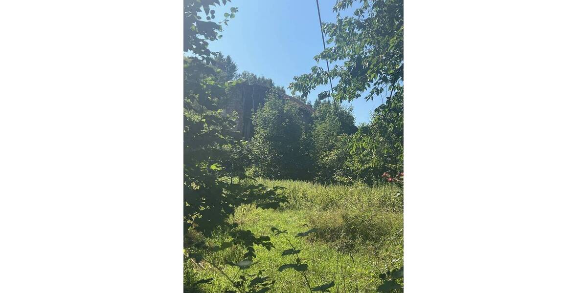 Grundstück Wadern Büschfeld - 130.000&euro; | Angebot:26243730