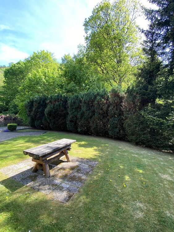 Wohnung zum Kaufen in Zorge 25.000 € 43 m²