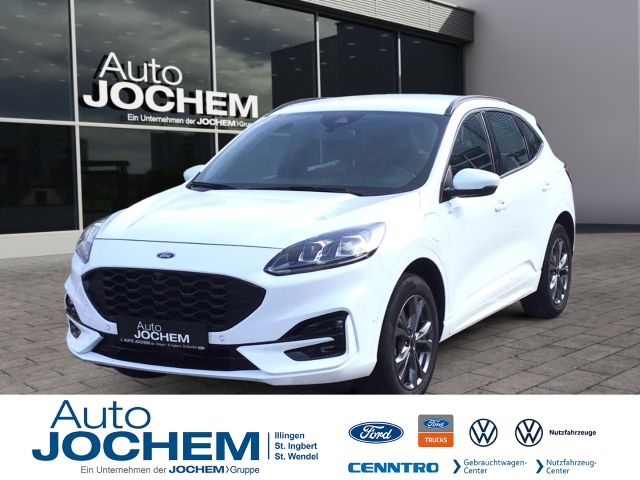 Kuga