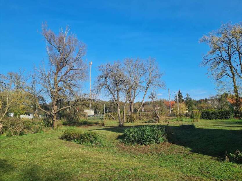 Grundstück zu verkaufen in Halbe 249.000 € 5535 m²