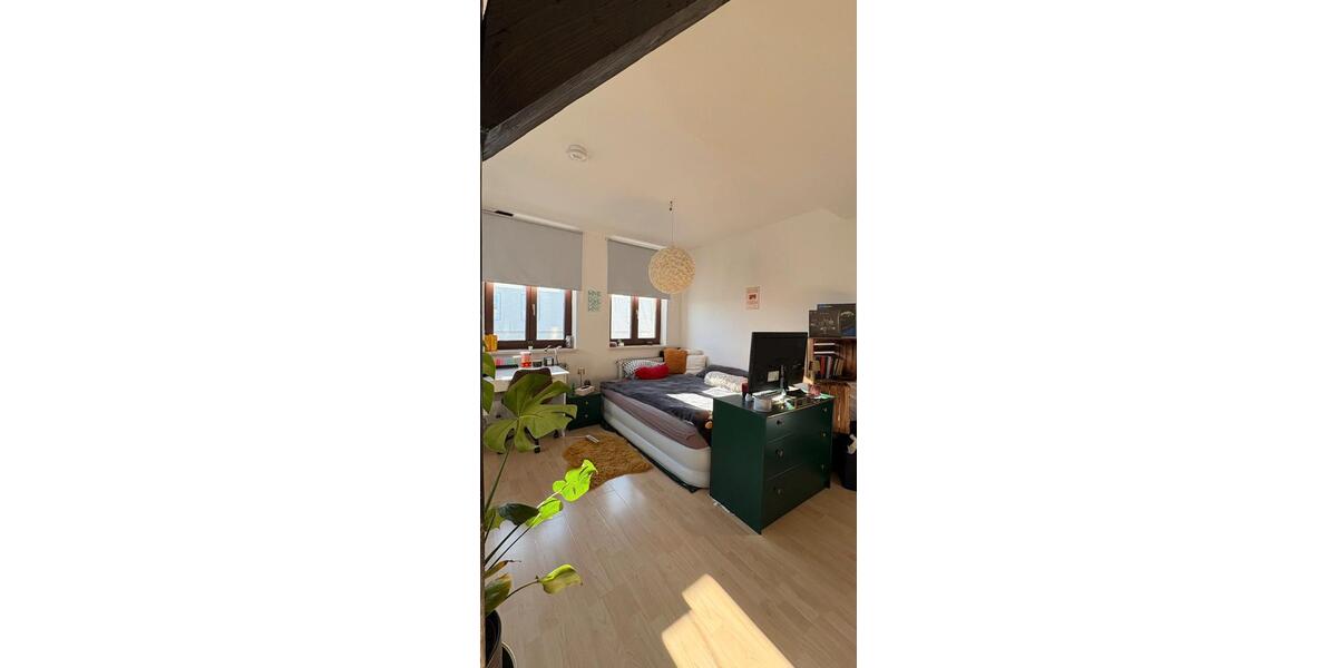 Dachgeschoßwohnung Halle (Saale) Damaschkestraße - 1 Zimmer, 35 m&sup2;, 335&euro; | Angebot:26693652