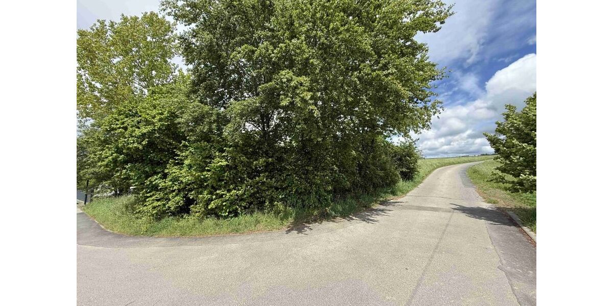 Provisionsfrei* Baugrundstück in Fronhofen - Grundstück Fronhofen | Angebot:26568234