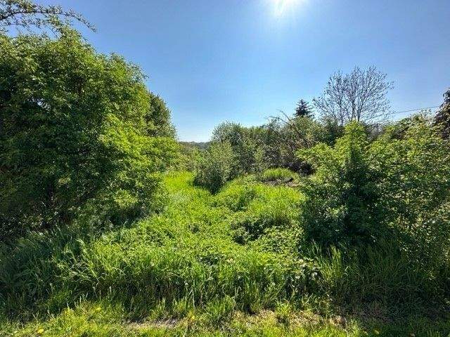 Grundstück Naumburg (Saale) Flemmingen - 79.675&euro; | Angebot:25818946