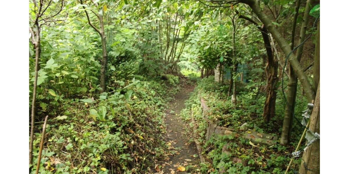 Schirgiswalde-Kirschau - Erholungsgrundstück - Grundstück Schirgiswalde-Kirschau Kirschau | Angebot:26960981