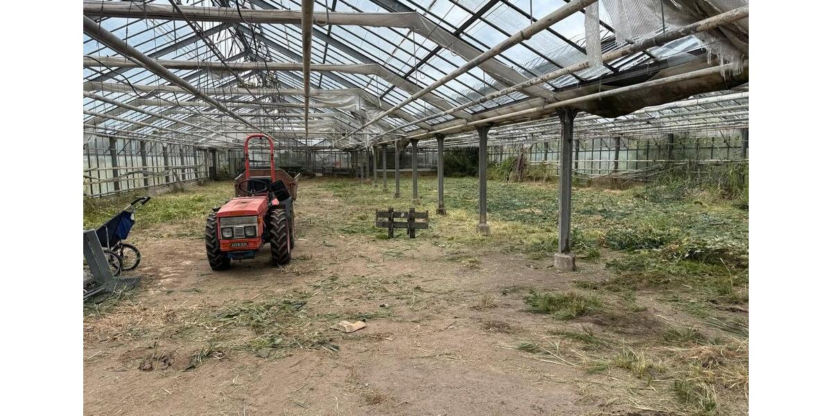 Grundstück Hamburg Wandsbek - 2.500&euro; | Angebot:25881463