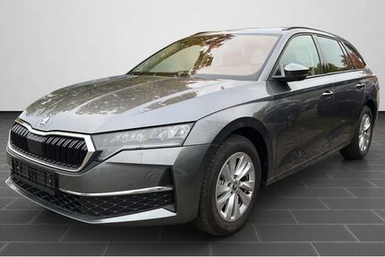 Skoda Octavia 11.000 km 99.999 € Mannheim 68167