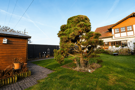 Haus Babenhausen - 4 Zimmer, 120 m&sup2;, 498.000&euro; | Angebot:27351160