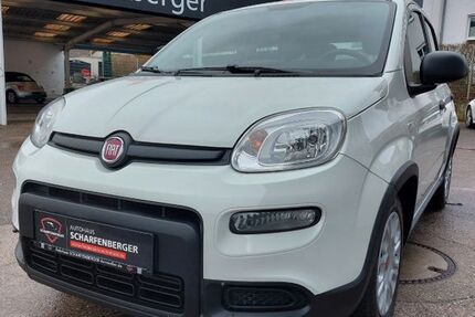 Fiat Panda 78.500 km 8.990 &euro; Annweiler am Trifels 76855