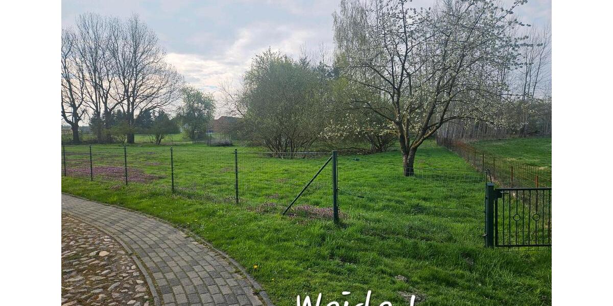 Bauernhaus, Landhaus Diesdorf - 7.5 Zimmer, 170 m&sup2;, 225.000&euro; | Angebot:27273692