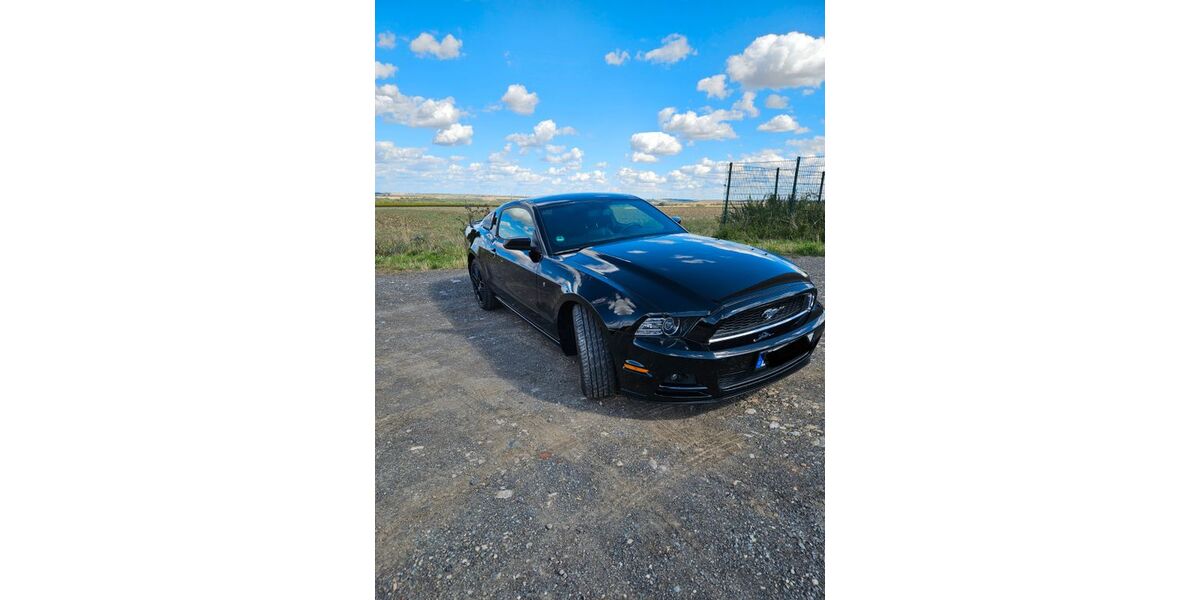 Ford Mustang 54.000 km 20.000 &euro; Aschersleben 06449