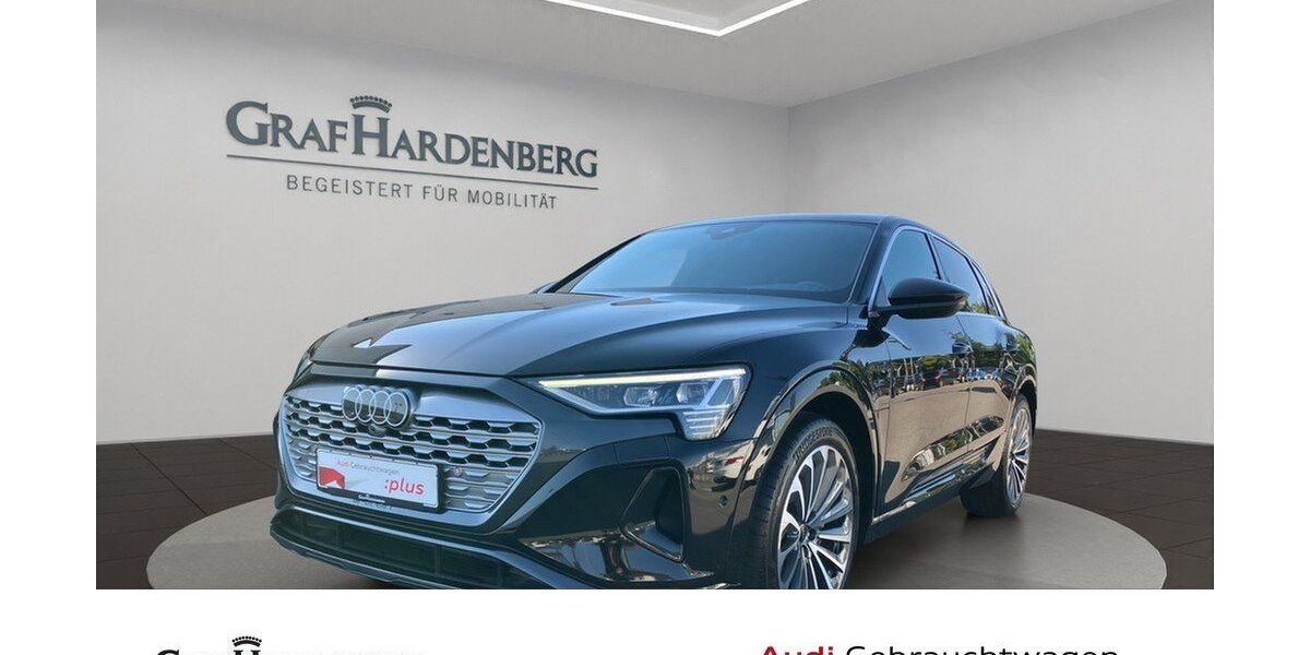 Audi Q8 e-tron 47.600 km 43.860 &euro; Singen 78224
