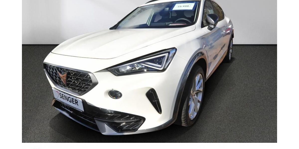 Cupra Formentor 53.200 km 24.280 &euro; Bad Schwartau 23611