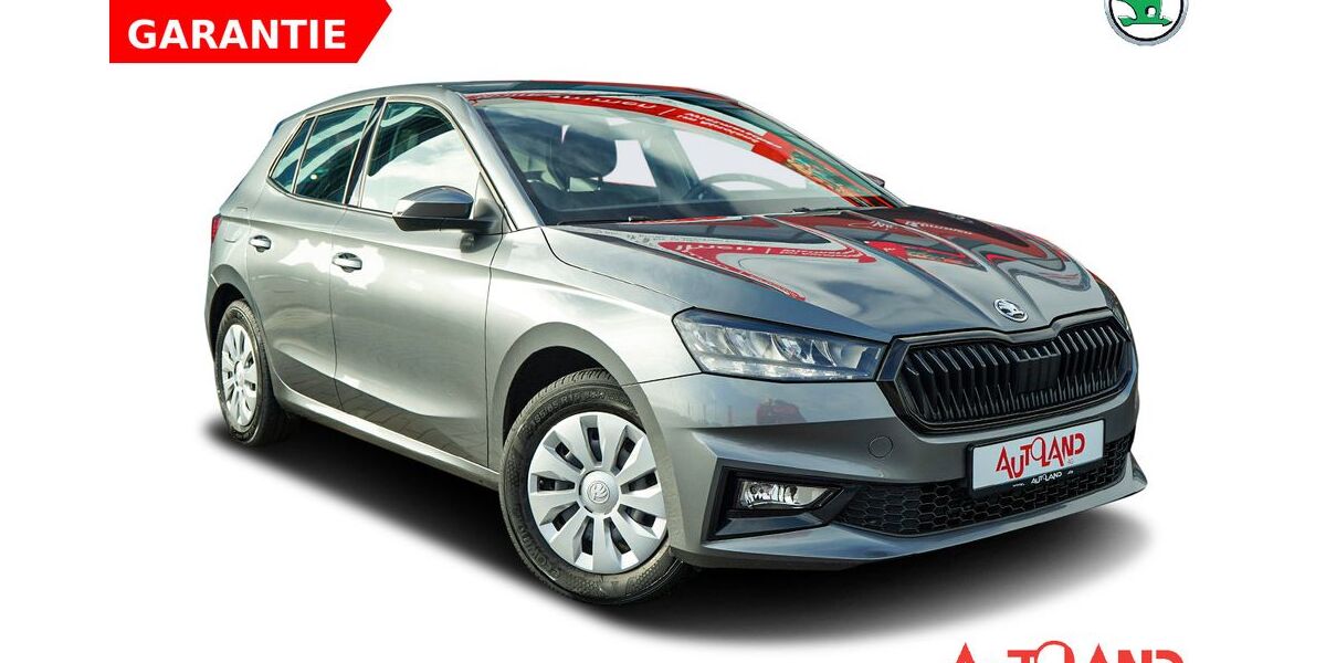 Skoda Fabia 51.728 km 16.950 &euro; Wietmarschen 49835
