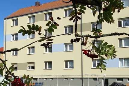 Wohnung Großröhrsdorf - 2 Zimmer, 44 m&sup2;, 330&euro; | Angebot:25509031