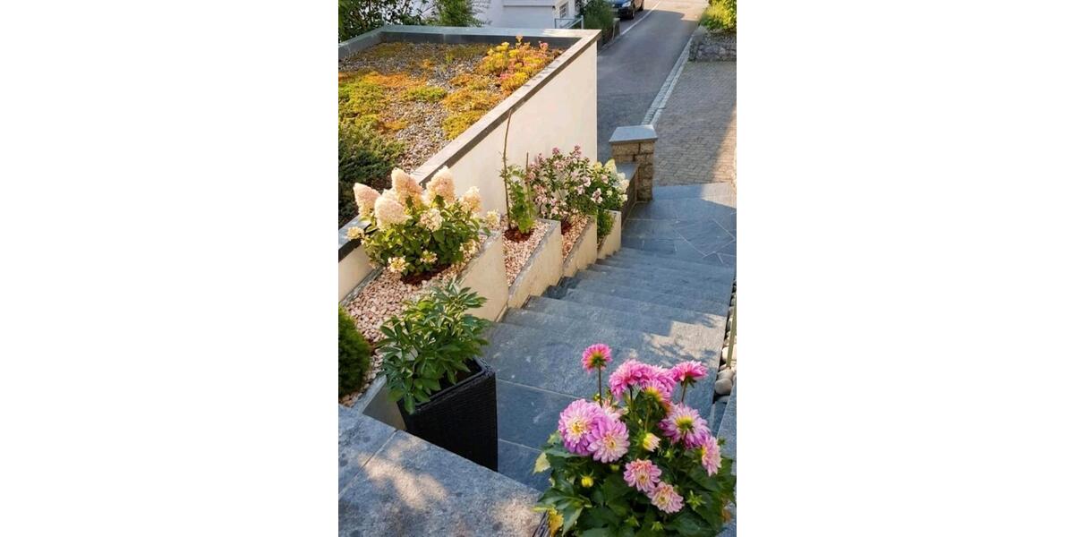 Mehrfamilienhaus, Wohnhaus Murg - 870.000&euro; | Angebot:26757145