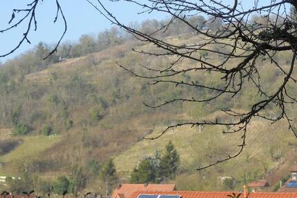 ### Naturnahe ruhige Wohnung mit viel Potenzial ###