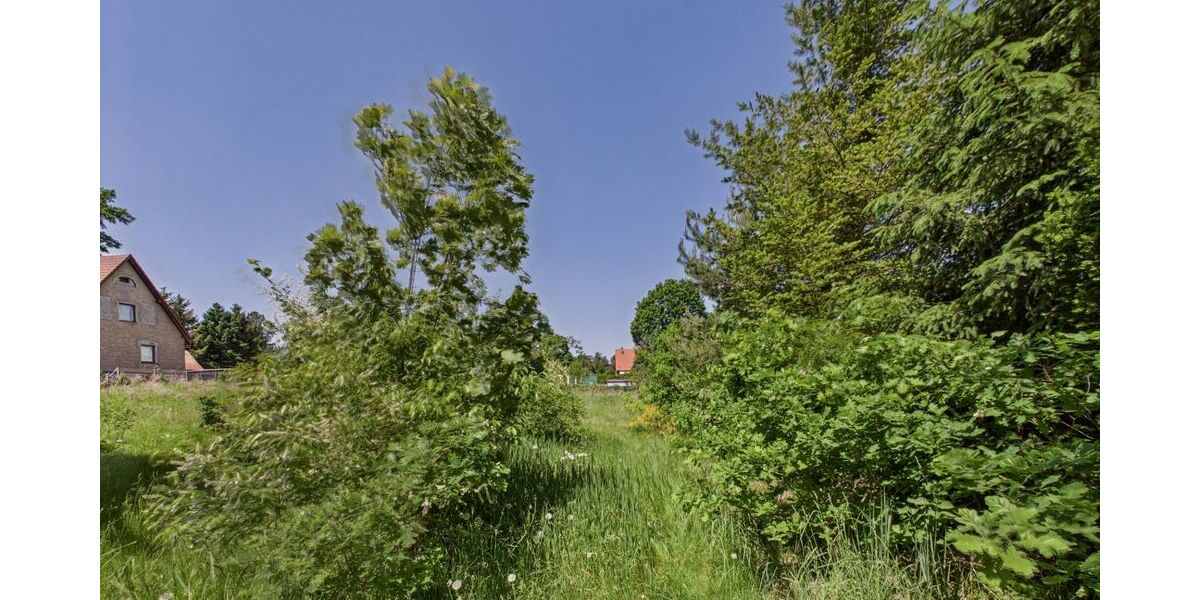 Naturbelassenes Baugrundstück in Hangelsberg - Morgens Vogelstimmen statt Straßenlärm - Grundstück Grünheide (Mark) | Angebot:26786395