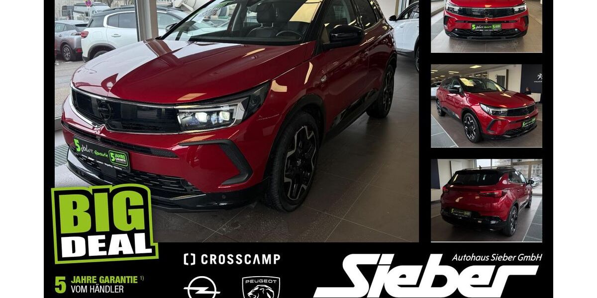 Opel Grandland (X) 24.358 km 19.990 &euro; Landshut 84034
