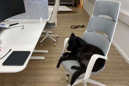 Gewerbeobjekt Garching bei München - 200&euro; | Angebot:25556341