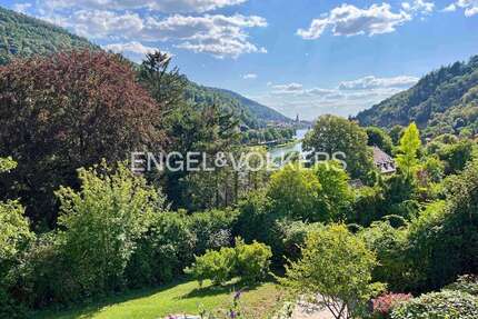 Haus zum Mieten in Heidelberg 3.500 € 245 m²