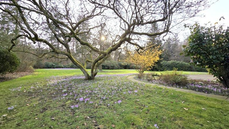 Einfamilienhaus Ganderkesee - 8 Zimmer, 257 m&sup2;, 2.347&euro; | Angebot:26098996